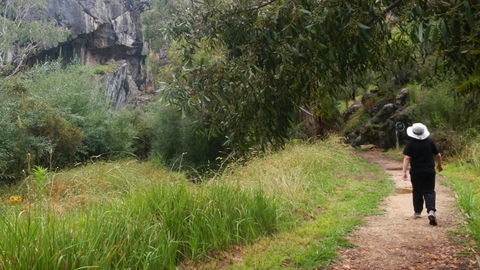 Borenore Karst Conservation Reserve - Accommodation Yamba 3