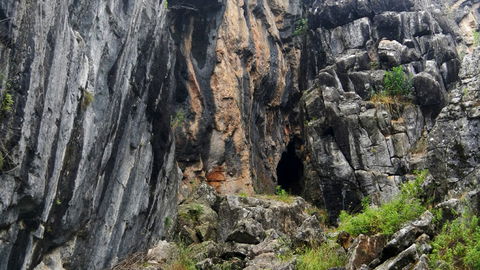 Borenore Karst Conservation Reserve - Accommodation Yamba 2