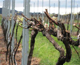 Stockmans Ridge Wines - Accommodation Yamba 1