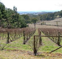Habitat Vineyard - Accommodation Yamba