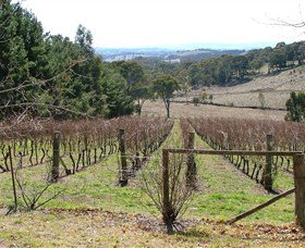 Habitat Vineyard - Accommodation Yamba 0