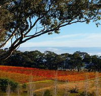 Bloodwood Estate - Accommodation Yamba
