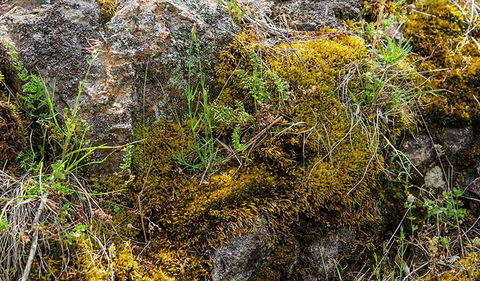 Hopetoun Falls Walking Track - Accommodation Yamba 2