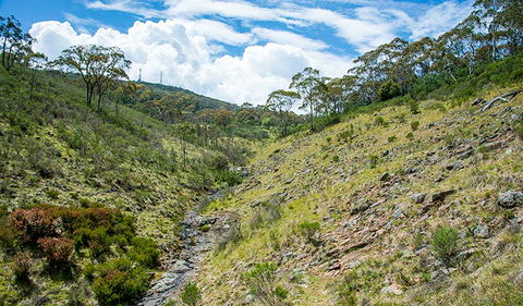 Hopetoun Falls Walking Track - Accommodation Yamba 3