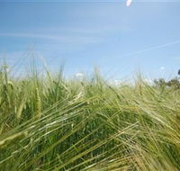 150 Degrees East Meridian - Accommodation Yamba