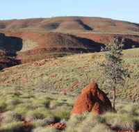Camel Trail Millstream-Chichester National Park - Accommodation Yamba