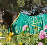 Living Legends The International Home of Rest for Champion Horses - Accommodation Yamba