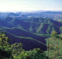 Kroombit Tops National Park - Accommodation Yamba