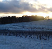 Charles Sturt University Winery - Accommodation Yamba