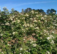 Huntley Berry Farm - Accommodation Yamba