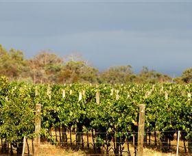 Amulet Vineyard And Beechworth Cider - Accommodation Yamba 7