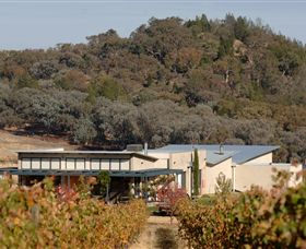 Amulet Vineyard And Beechworth Cider - Accommodation Yamba 8