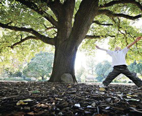 Albury Botanic Gardens - Accommodation Yamba 1