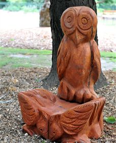 Albury Botanic Gardens - Accommodation Yamba 7