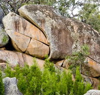 Frog Rock - Accommodation Yamba