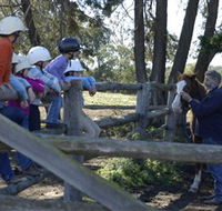 Harlow Park Horse Riding - Accommodation Yamba