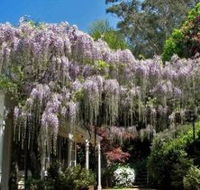 Nooroo Gardens - Accommodation Yamba