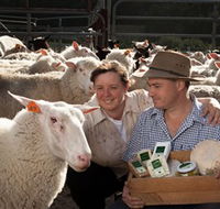 Prom Country Cheese - Accommodation Yamba