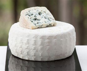 Prom Country Cheese - Accommodation Yamba 6