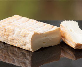 Prom Country Cheese - Accommodation Yamba 7