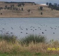 Lake Liddell Recreation Area - Accommodation Yamba