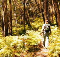 Federal Pass - Accommodation Yamba