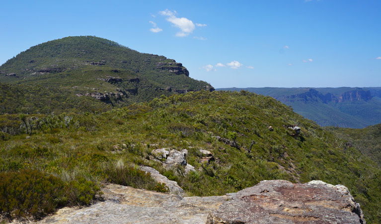 Bell NSW Accommodation Yamba