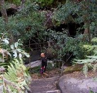 Leura Cascades Fern Bower - Accommodation Yamba