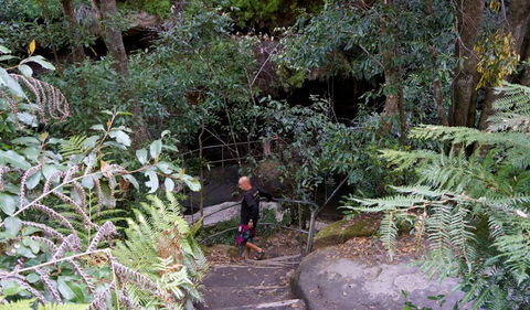 Leura Cascades Fern Bower - Accommodation Yamba 0