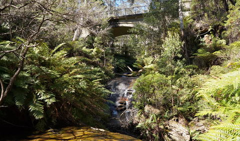 Leura Cascades Fern Bower - Accommodation Yamba 3