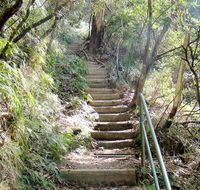 Nature track - Accommodation Yamba