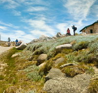 Mount Kosciuszko Summit walk - Accommodation Yamba