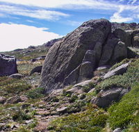 Mount Stillwell walk - Accommodation Yamba