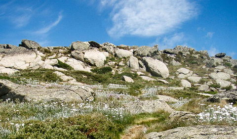 Mount Stillwell Walk - Accommodation Yamba 1