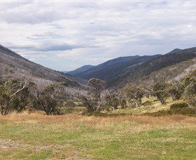 Dead Horse Gap - Accommodation Yamba 2