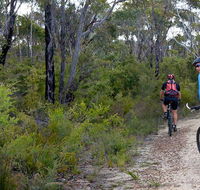 McMahon's Point ride - Wentworth Falls - Accommodation Yamba
