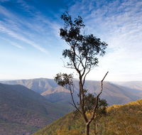 Salisbury Waters walking track - Accommodation Yamba