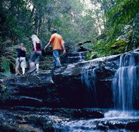 South Lawson Waterfall Circuit - Accommodation Yamba