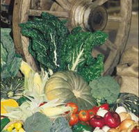 Mulgowie Real Farmers Markets - Accommodation Yamba