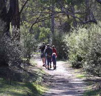 Syd's Rapids and Aboriginal Heritage Trail Avon Valley - Accommodation Yamba