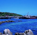 King Island Dairies - Accommodation Yamba