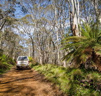 Barrington trail - Accommodation Yamba