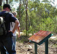 Finchley cultural walk - Accommodation Yamba
