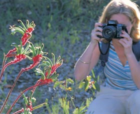 Kalamunda National Park - Accommodation Yamba 1