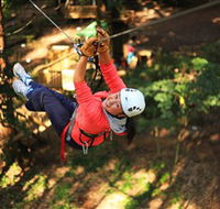 Trees Adventure Grose River Park - Accommodation Yamba