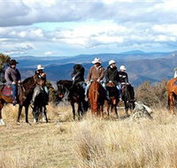 Snowy Wilderness - Accommodation Yamba
