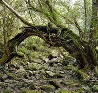 Mitchell River National Park - Accommodation Yamba