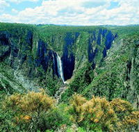 Wollomombi Falls - Accommodation Yamba
