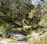 Wollomombi walking track - Accommodation Yamba