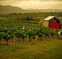 Around Hermitage Wine and Food Trail Hunter Valley - Accommodation Yamba